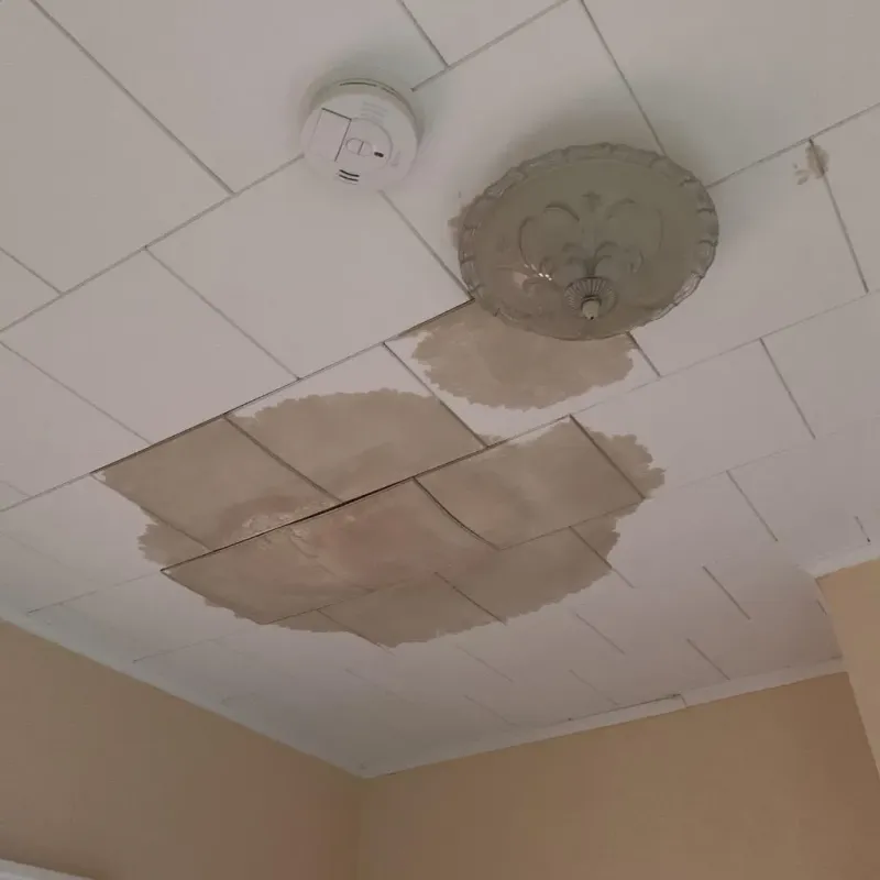 Ceiling Water Damage Repair in Kimble County, TX
