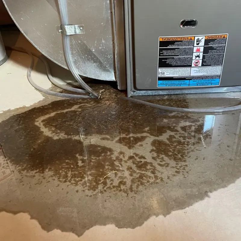 Pipe Burst and Leak Restoration in Kimble County, TX