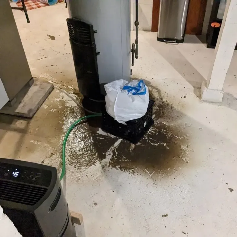 Sewage Backup Cleanup Service in Kimble County, TX